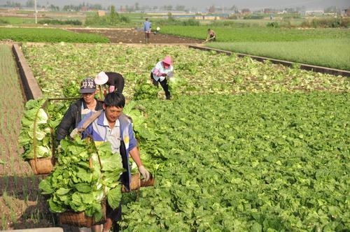 云报头条丨 看名企名品故事，聚焦“企业帮 乡村兴”的“玉溪之变”