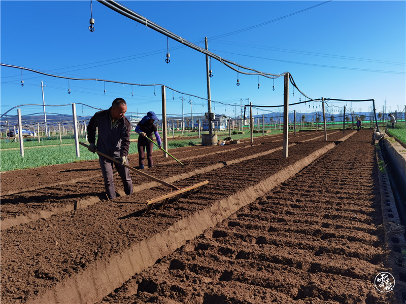 云报头条丨 看名企名品故事，聚焦“企业帮 乡村兴”的“玉溪之变”
