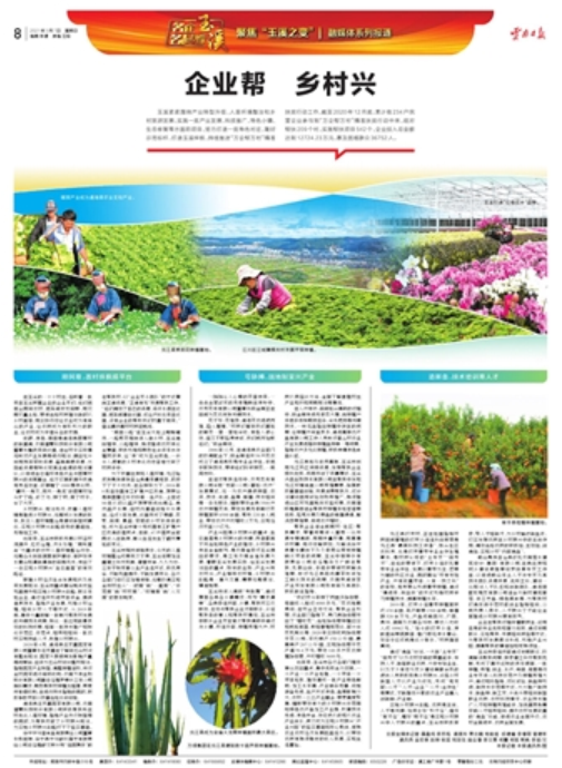 云报头条丨 看名企名品故事，聚焦“企业帮 乡村兴”的“玉溪之变”