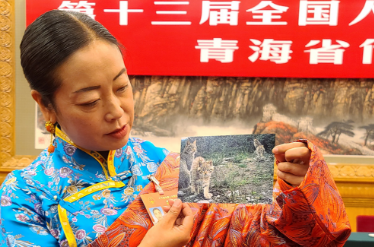 时政画说丨祁连山下的勃勃生机