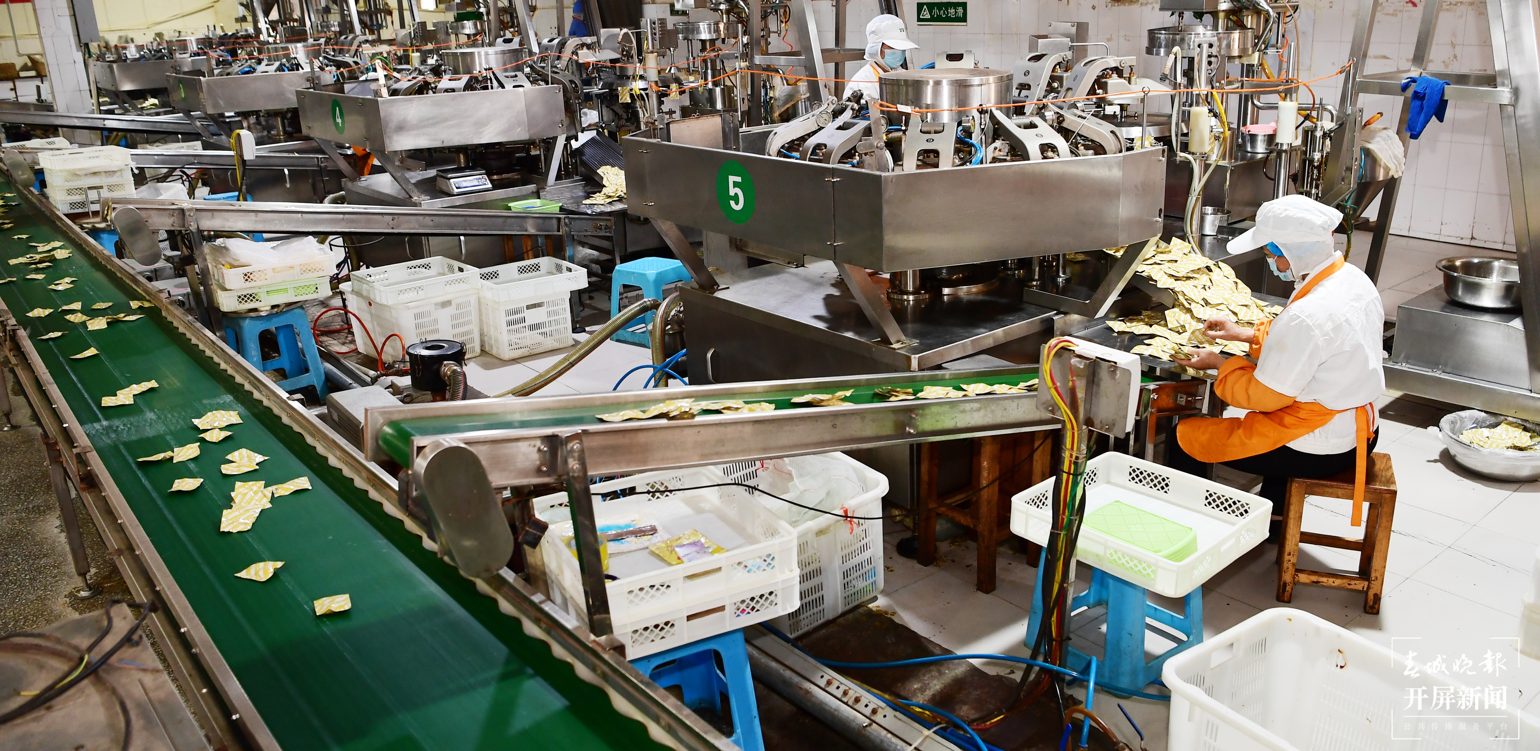 宏斌公司 现代化生产线。曾永洪 摄.JPG