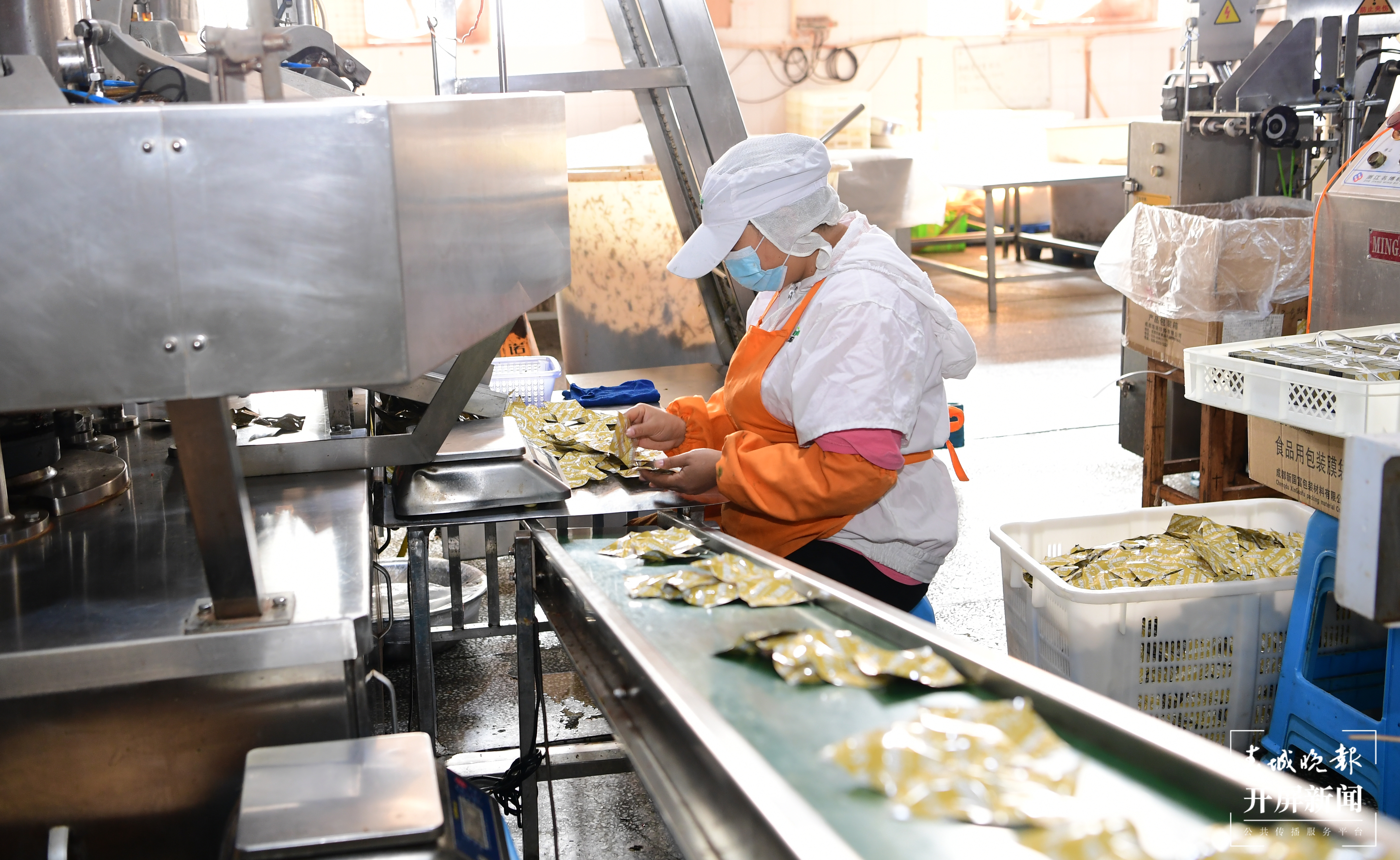 宏斌绿色食品有限公司。曾永洪 摄 (4).JPG