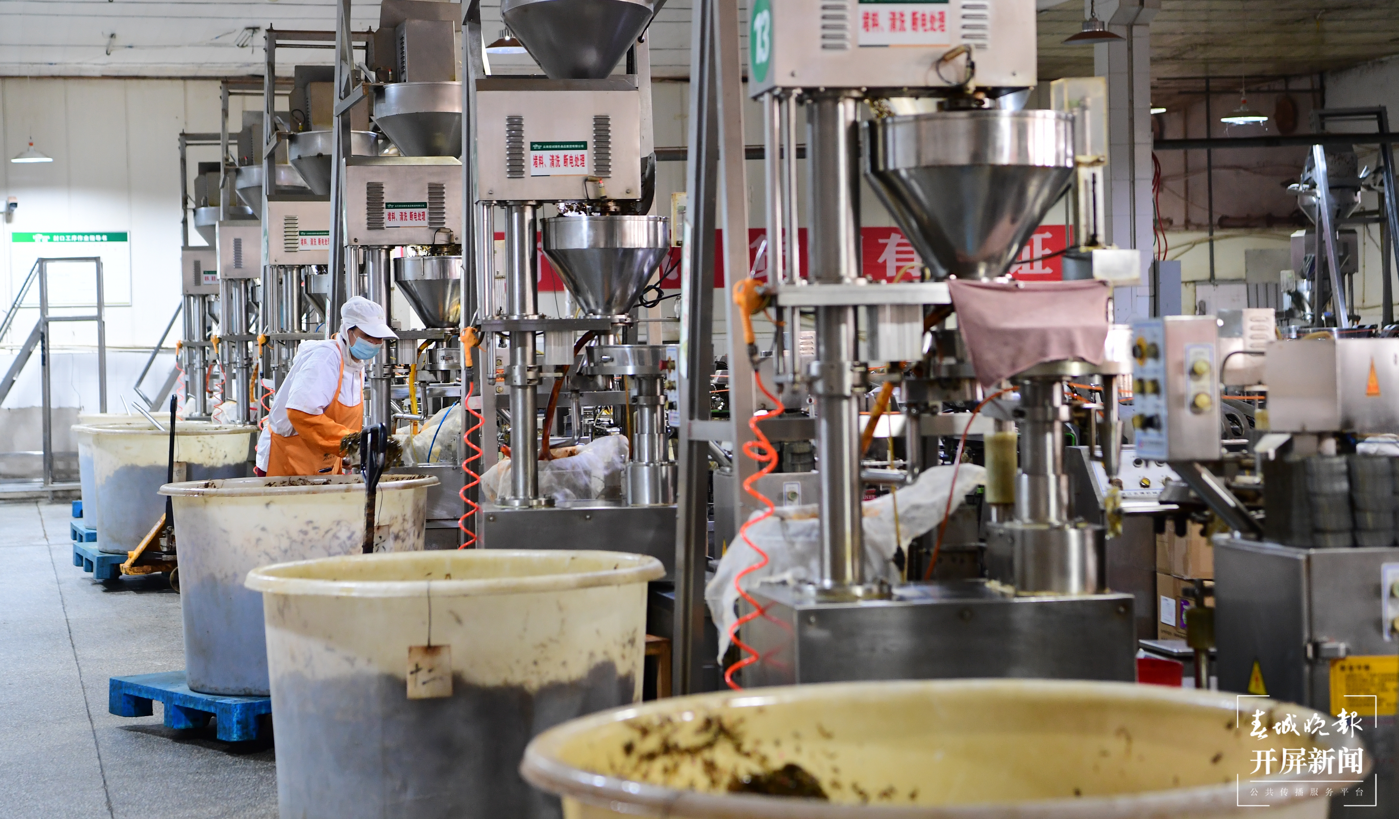 宏斌公司的泡菜远销国内外。曾永洪 摄.JPG