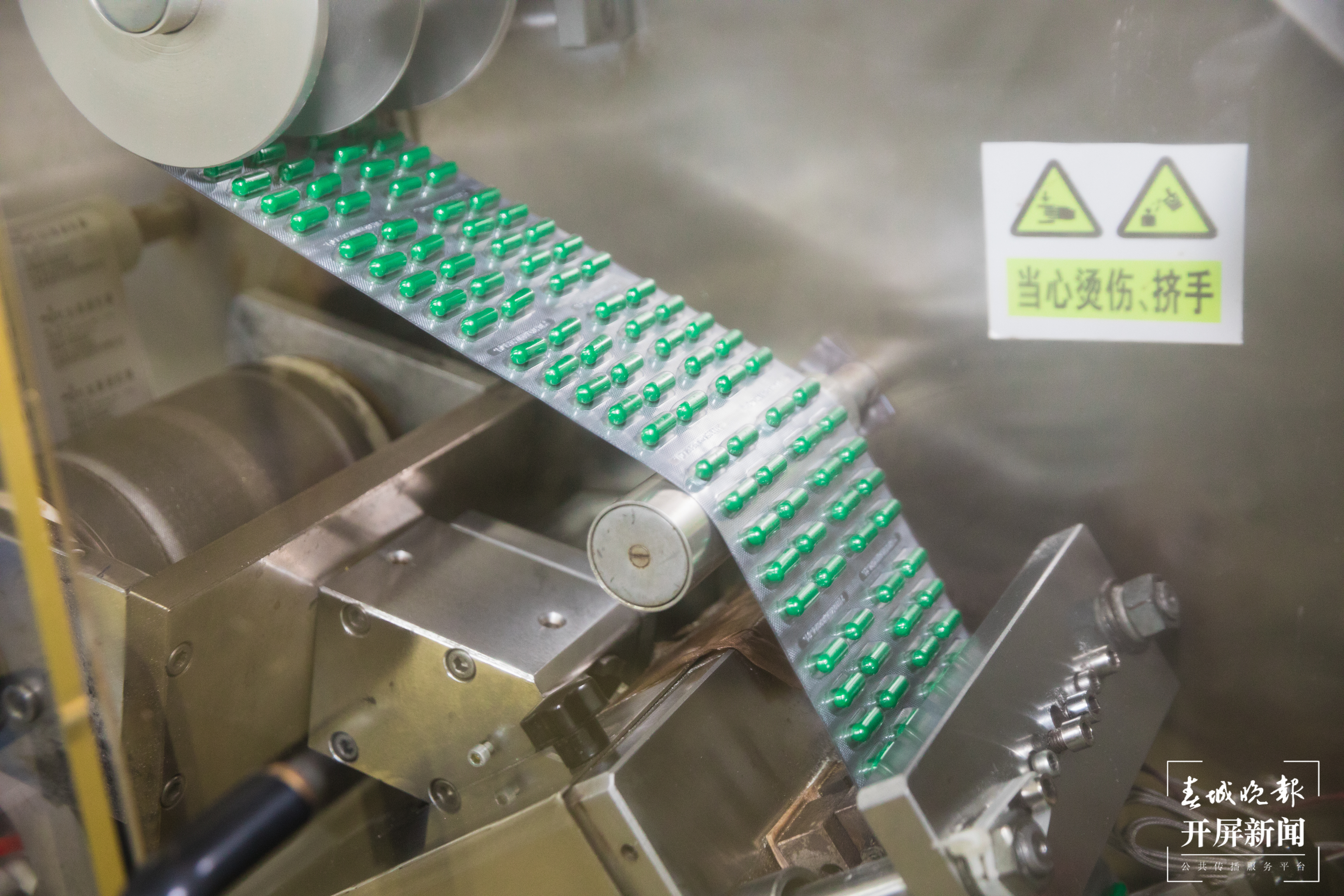 泡罩机将装好的胶囊封膜。邓星瑞摄.JPG