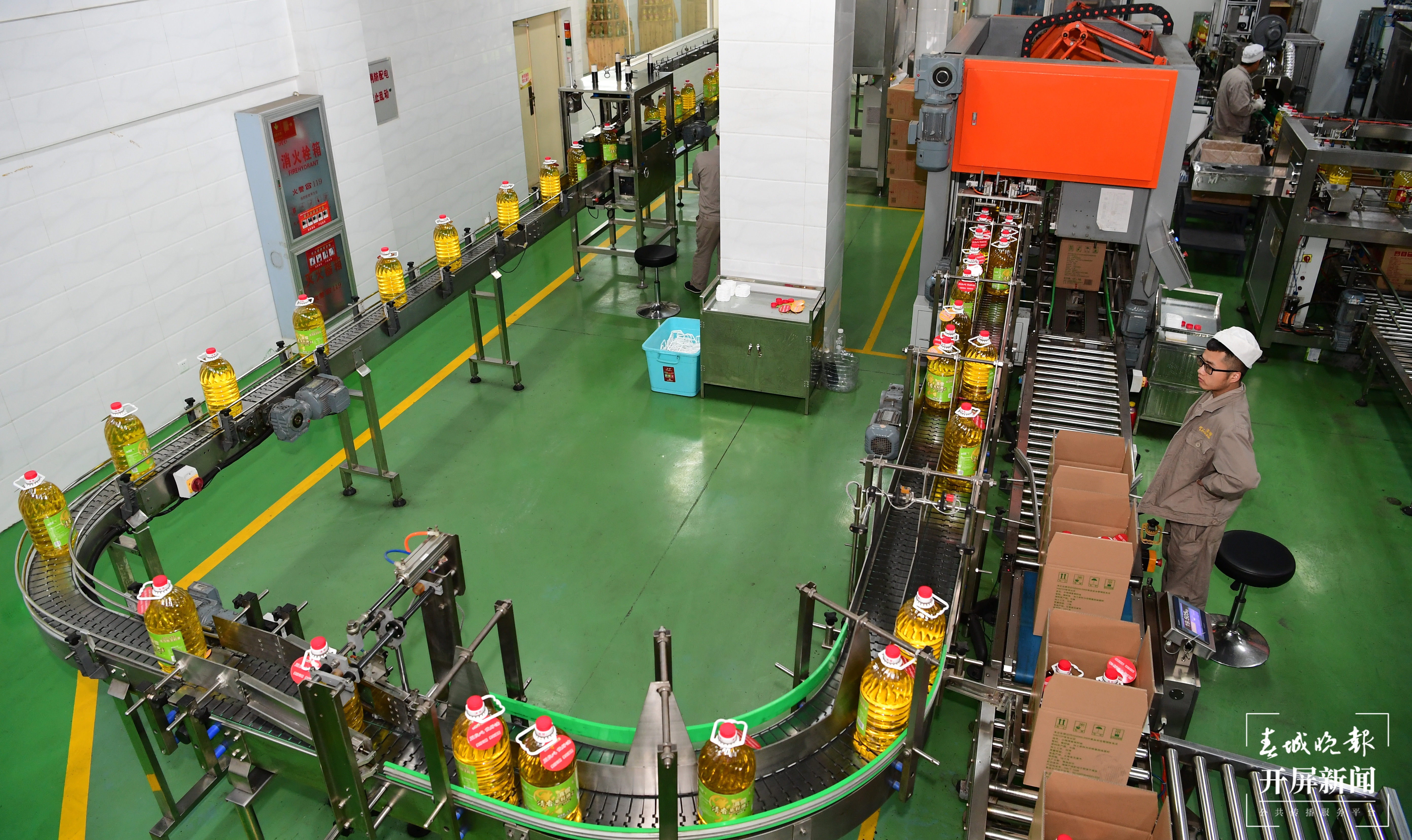 滇雪粮油现代化生产线。曾永洪 摄.JPG