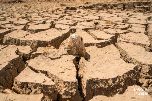 陆良旱情（春城晚报-开屏新闻记者 蒋琼波 摄）