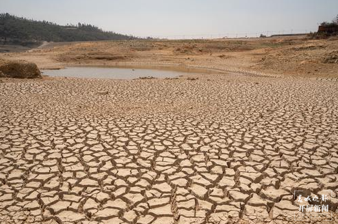 陆良旱情（春城晚报-开屏新闻记者 蒋琼波 摄）