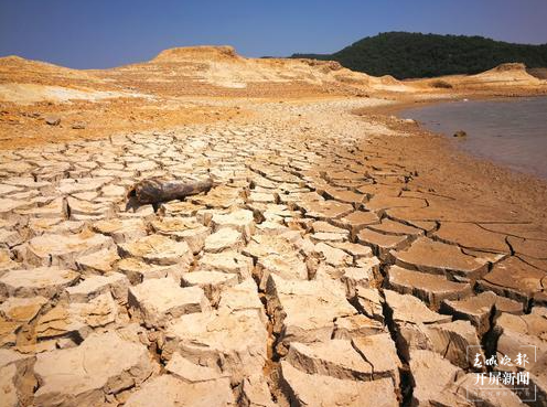 陆良旱情（春城晚报-开屏新闻记者 蒋琼波 摄）