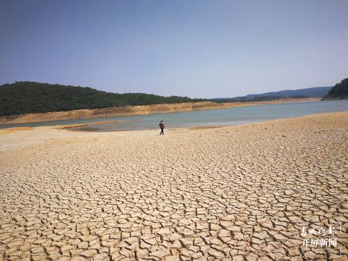 陆良旱情（春城晚报-开屏新闻记者 蒋琼波 摄）