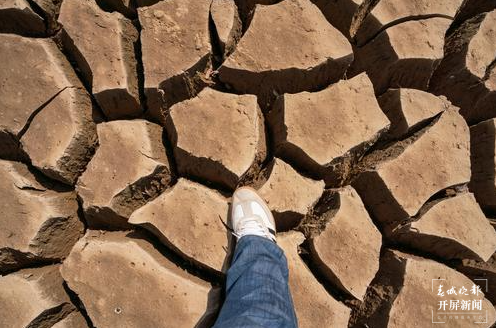 陆良旱情（春城晚报-开屏新闻记者 蒋琼波 摄）