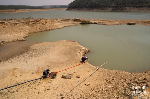 陆良旱情（春城晚报-开屏新闻记者 蒋琼波 摄）