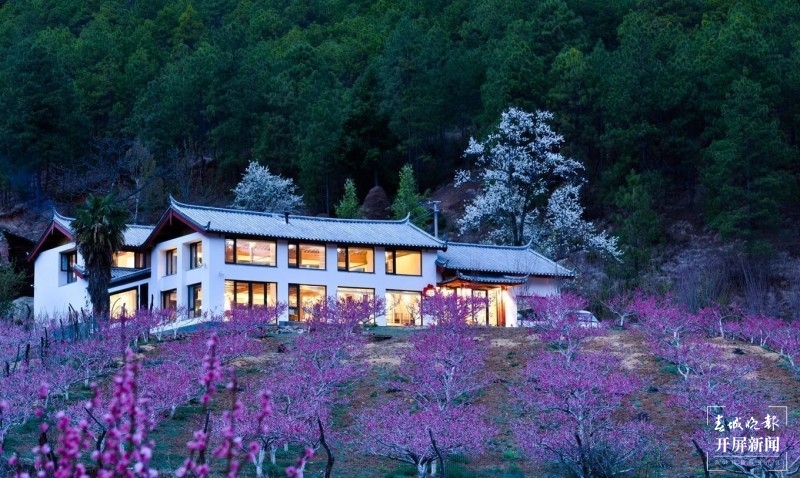 丽江吉北科，百亩桃林深处有人家