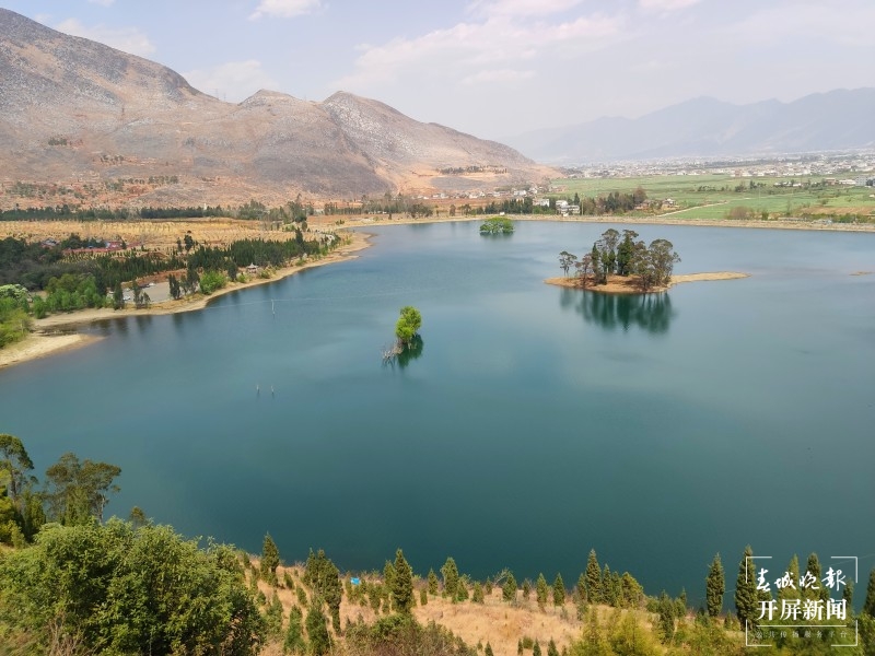 大理鹤庆西龙潭，流苏花开满树香