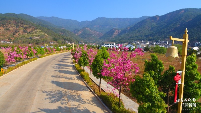 大理鸡足山下，樱花小镇等你来