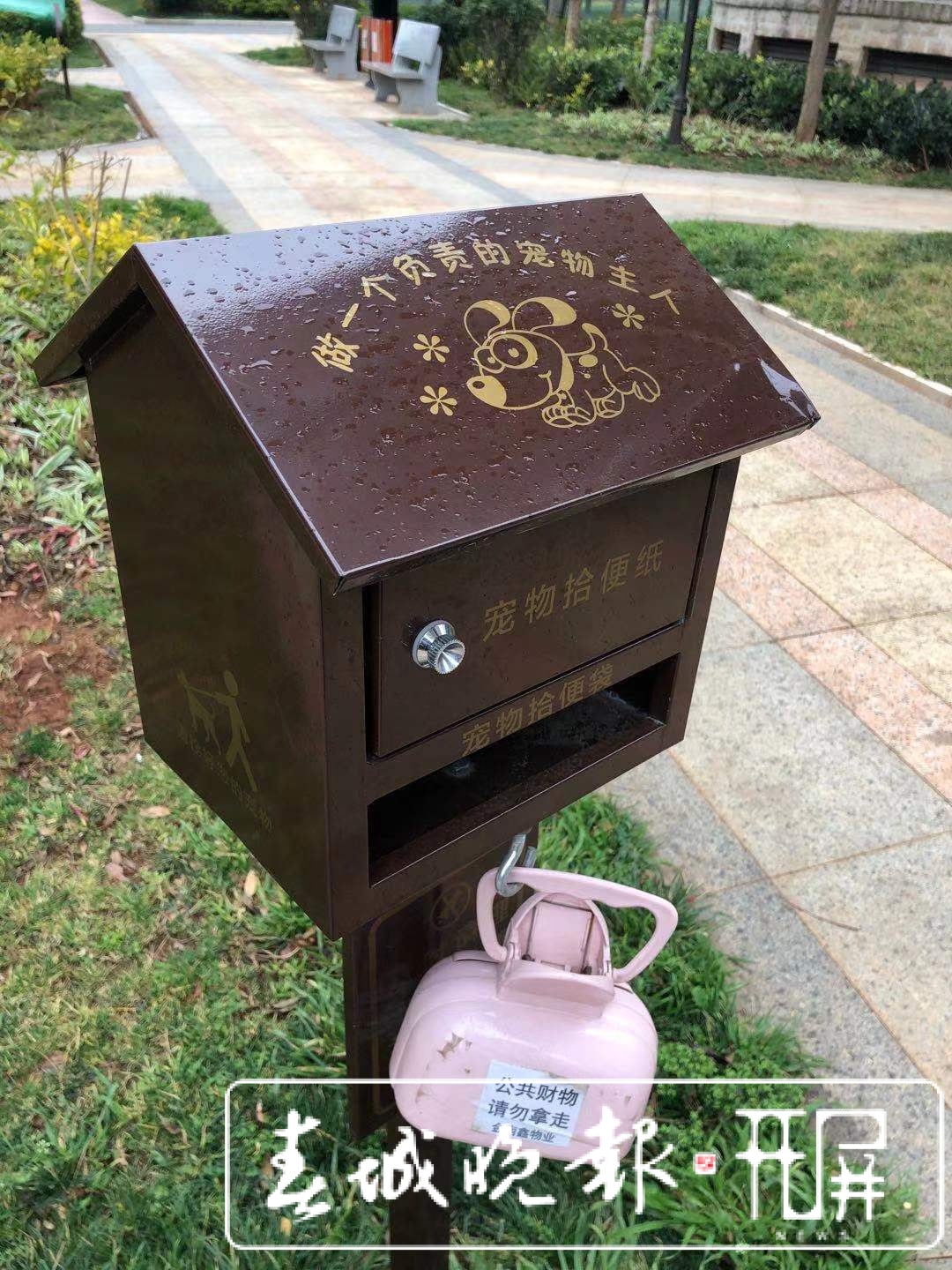 城市狗患！恶犬咋管？