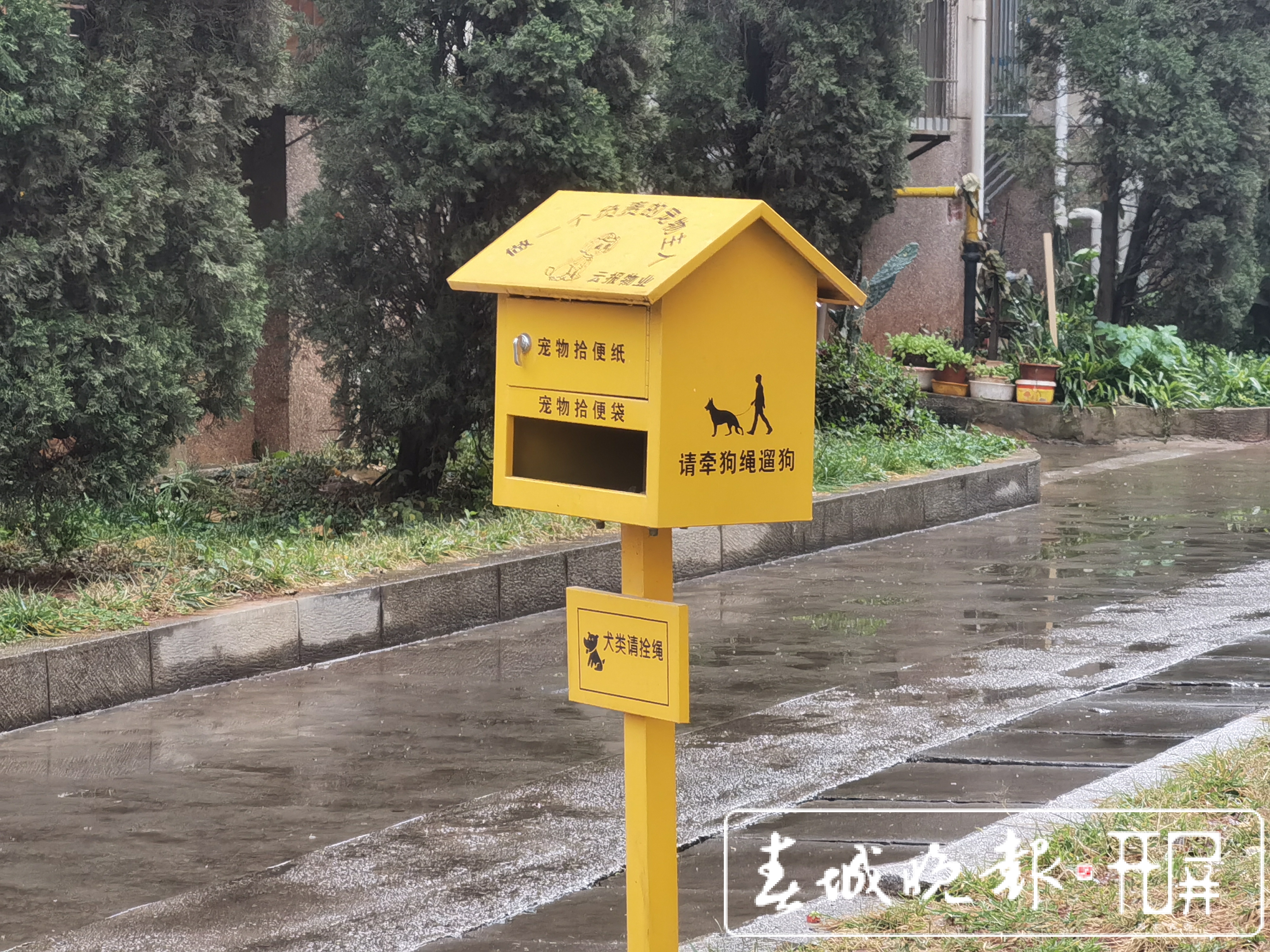 城市狗患!恶犬咋管?