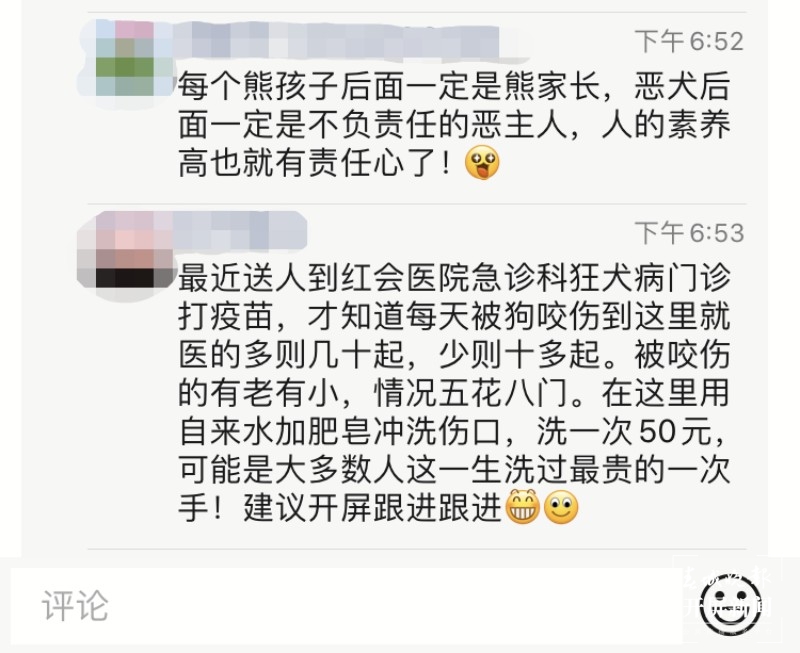 恶犬难治 费丹艺 摄