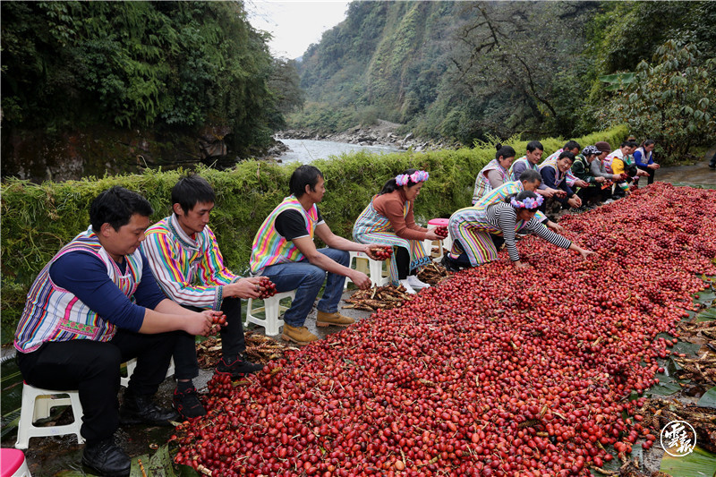 总书记给独龙江乡亲们回信两周年 如今，这里生活怎么样？