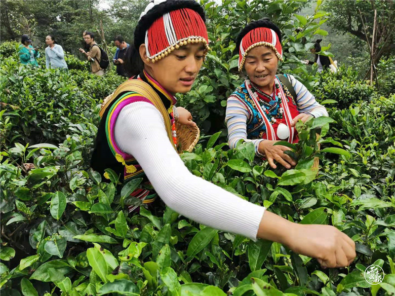 总书记给独龙江乡亲们回信两周年 如今，这里生活怎么样？