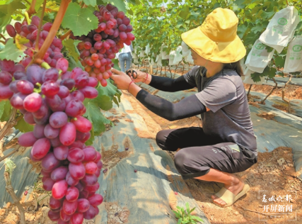 沿着高速看中国·走进云南（罗宗伟 摄）