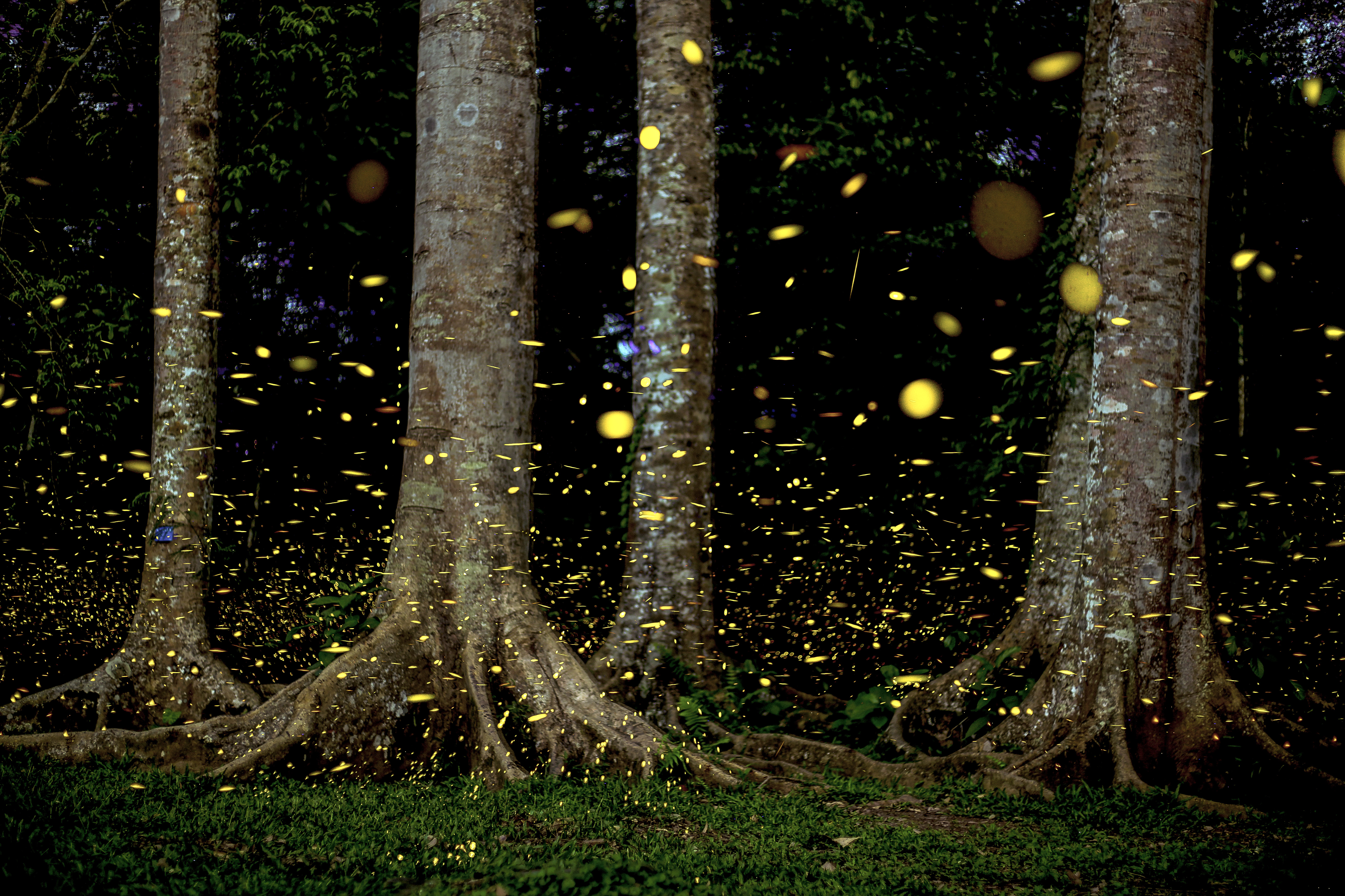 沿着高速看中国·走进云南（供图）