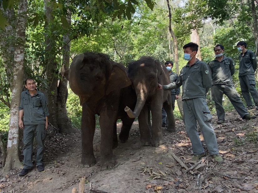 沿着高速看中国·走进云南（供图）