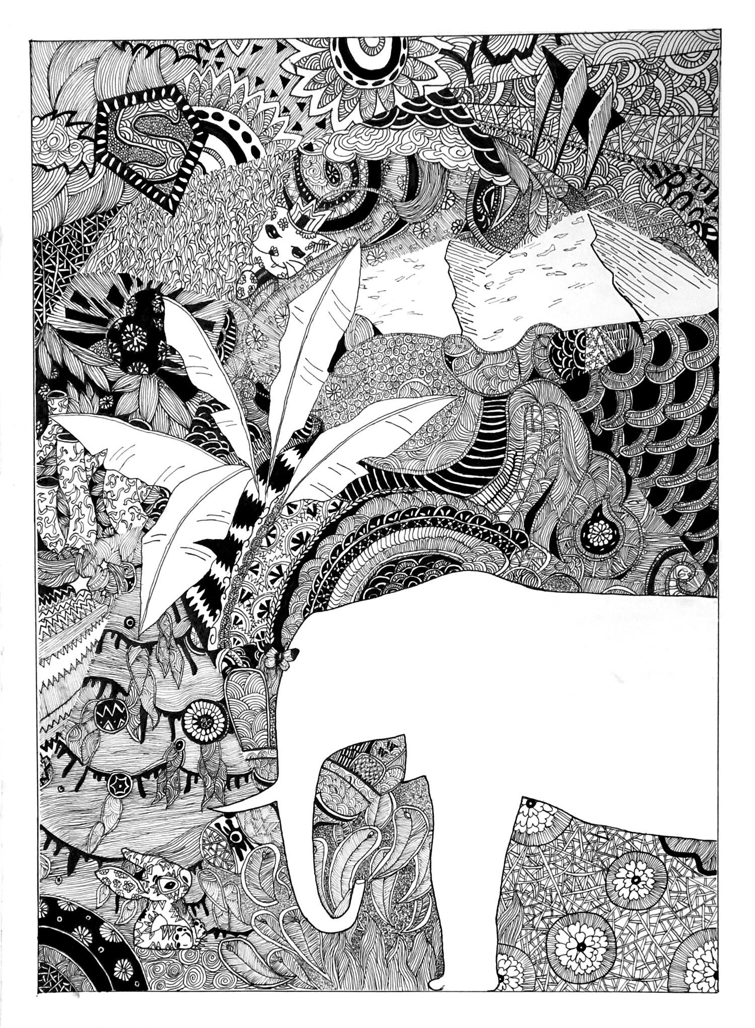 《雨林趣事》莫国军  20岁.jpg