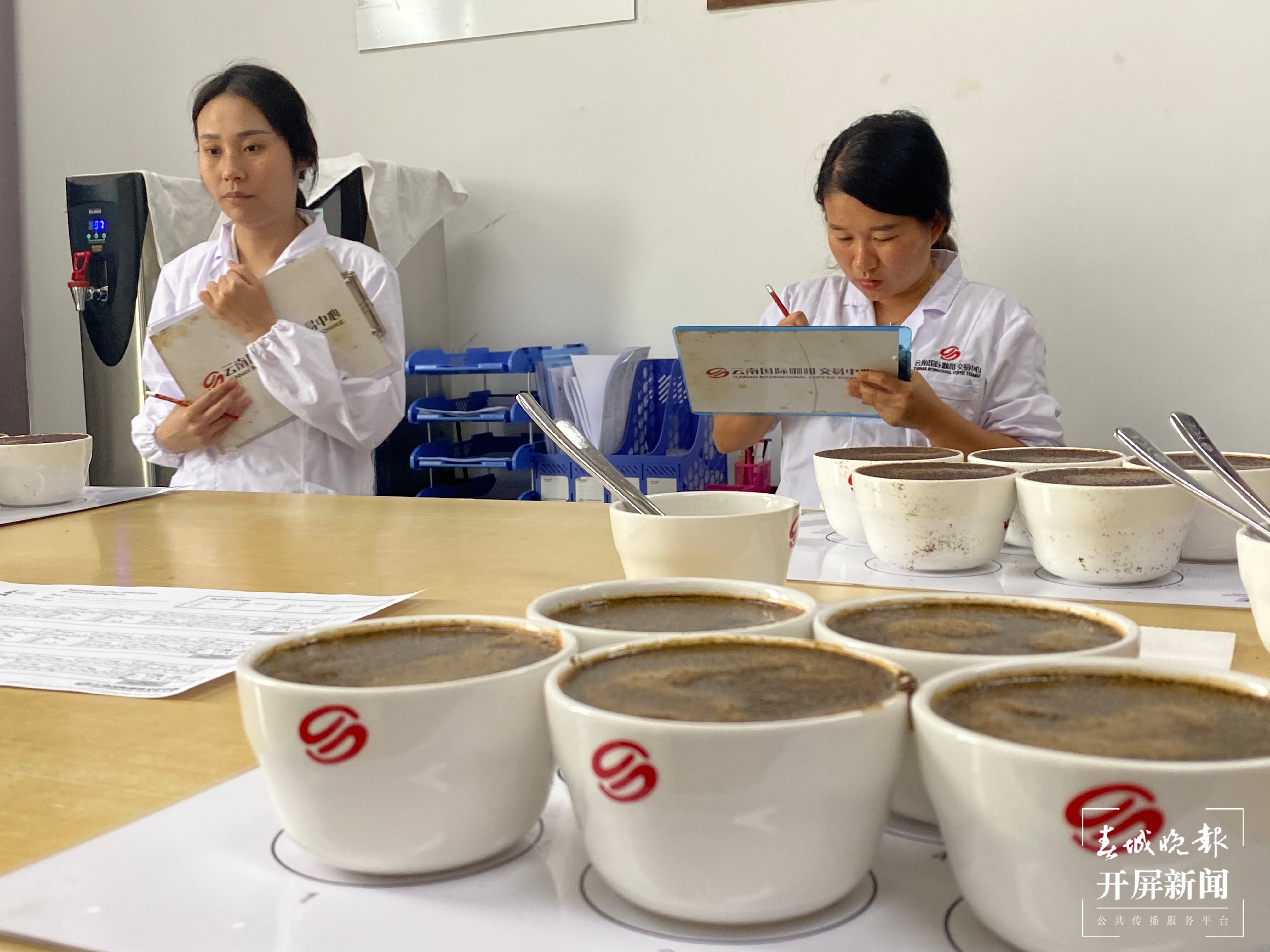 打通“云咖”出滇重要通道，乡村旅游发展迎来新机遇 孙琴霞