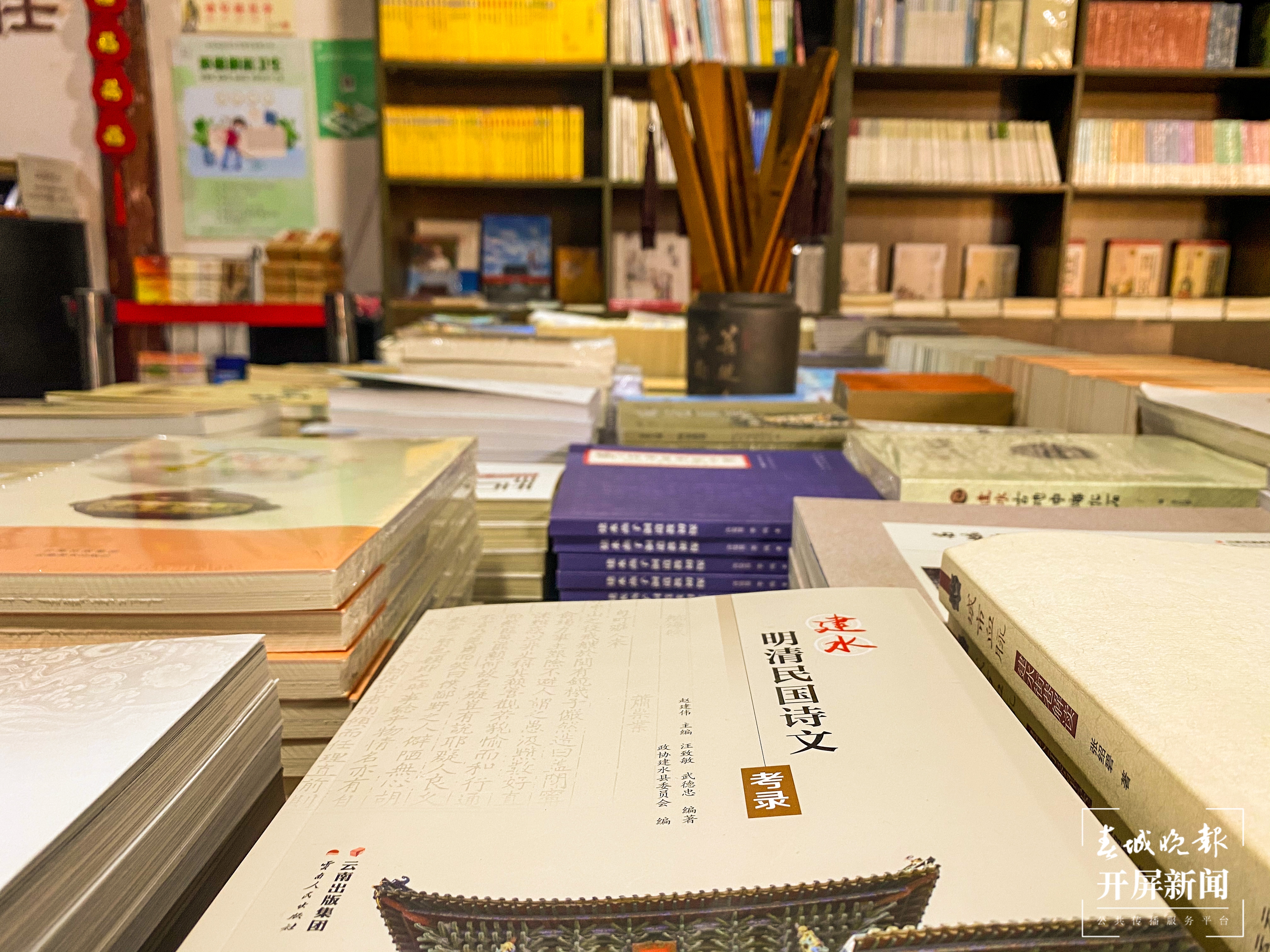 摆放在子健书屋的书籍-刘畅 摄.jpg