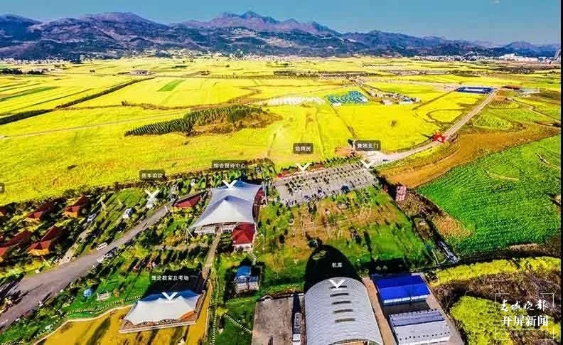 曲靖宿营之旅(春城晚报-开屏新闻记者 蒋琼波 摄)