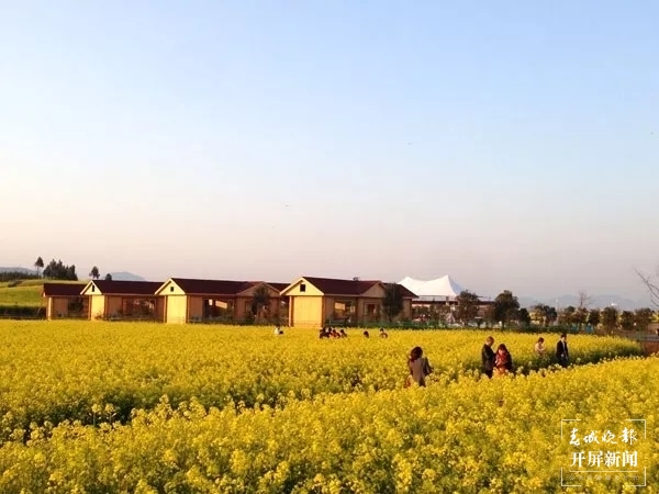 曲靖宿营之旅(春城晚报-开屏新闻记者 蒋琼波 摄)