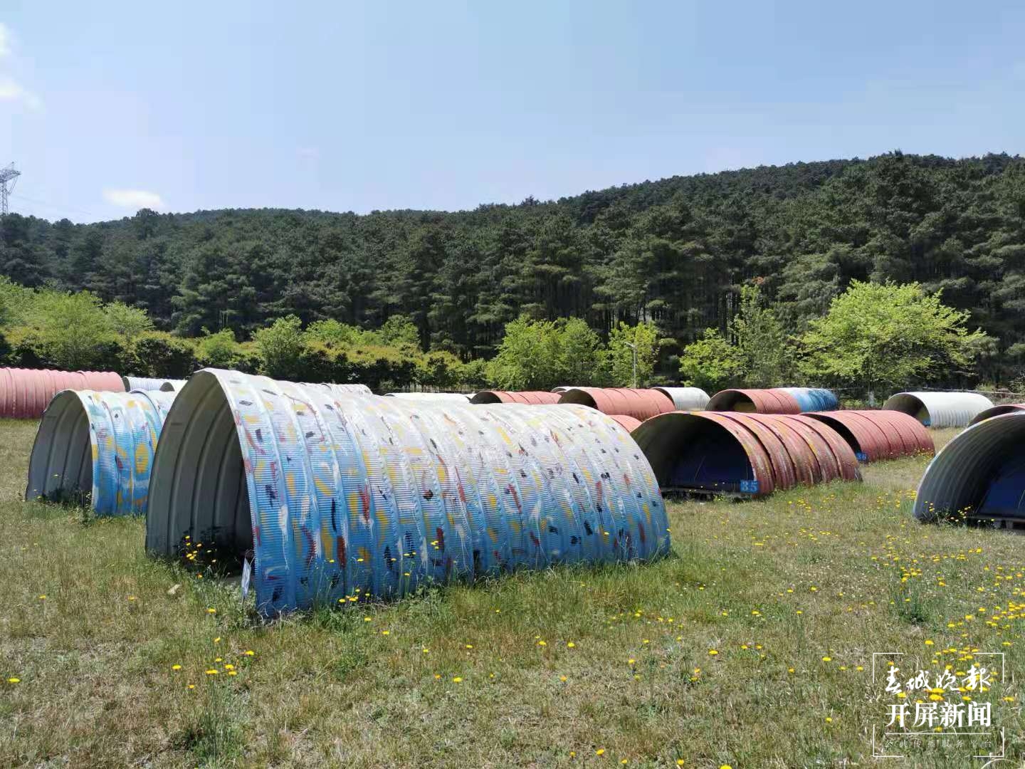 曲靖宿营之旅(春城晚报-开屏新闻记者 蒋琼波 摄)