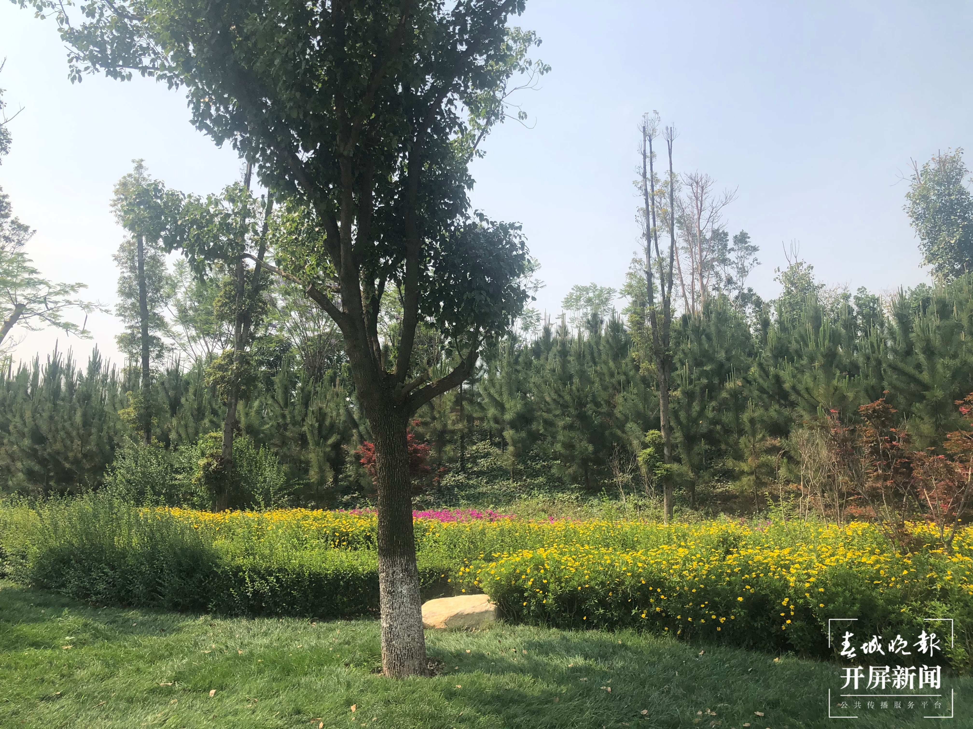 建水：打造生态融城新典范