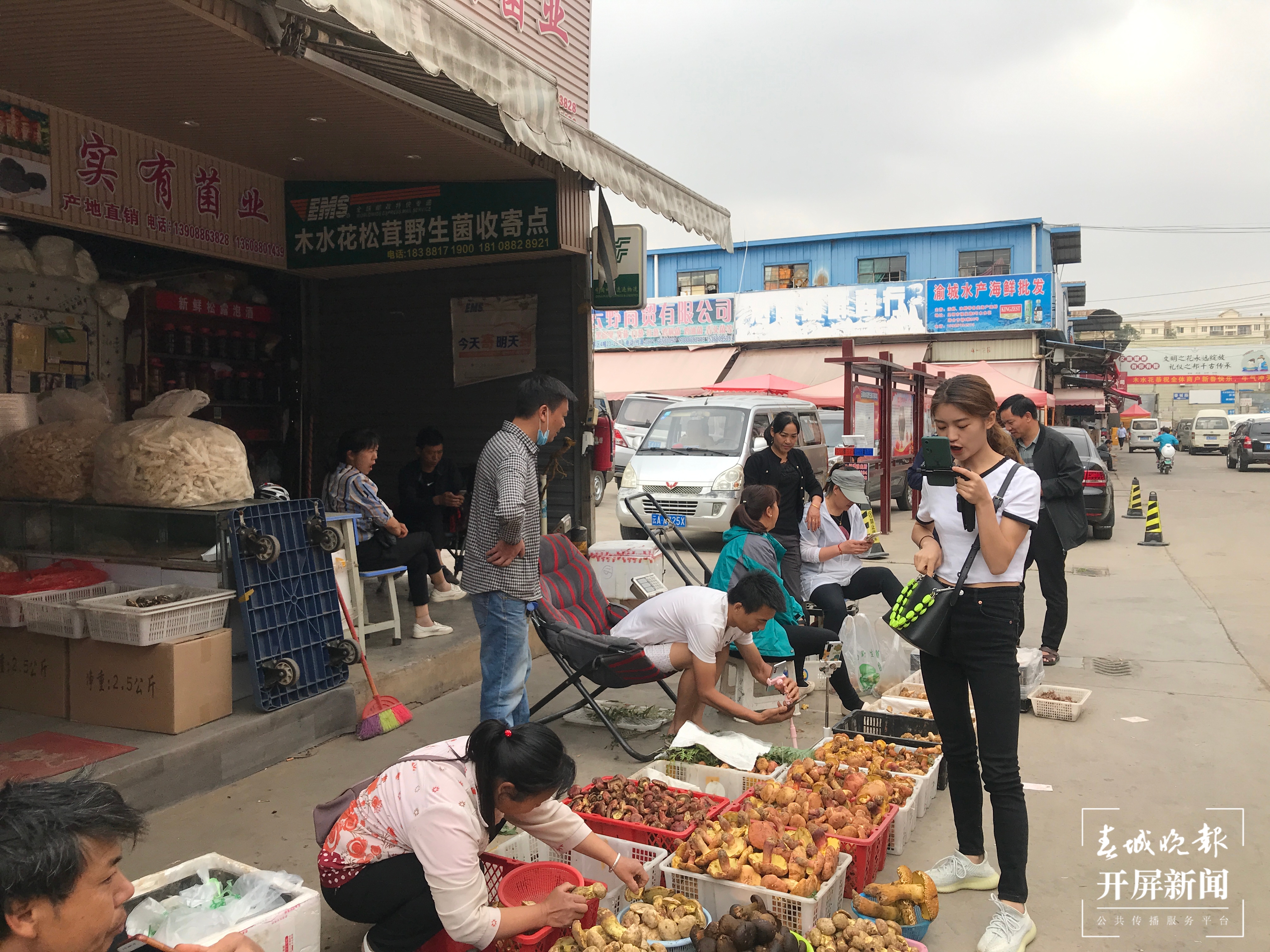 每天约一吨野生菌运到木水花，价格逐渐回落 杨质高 摄 (3).JPG