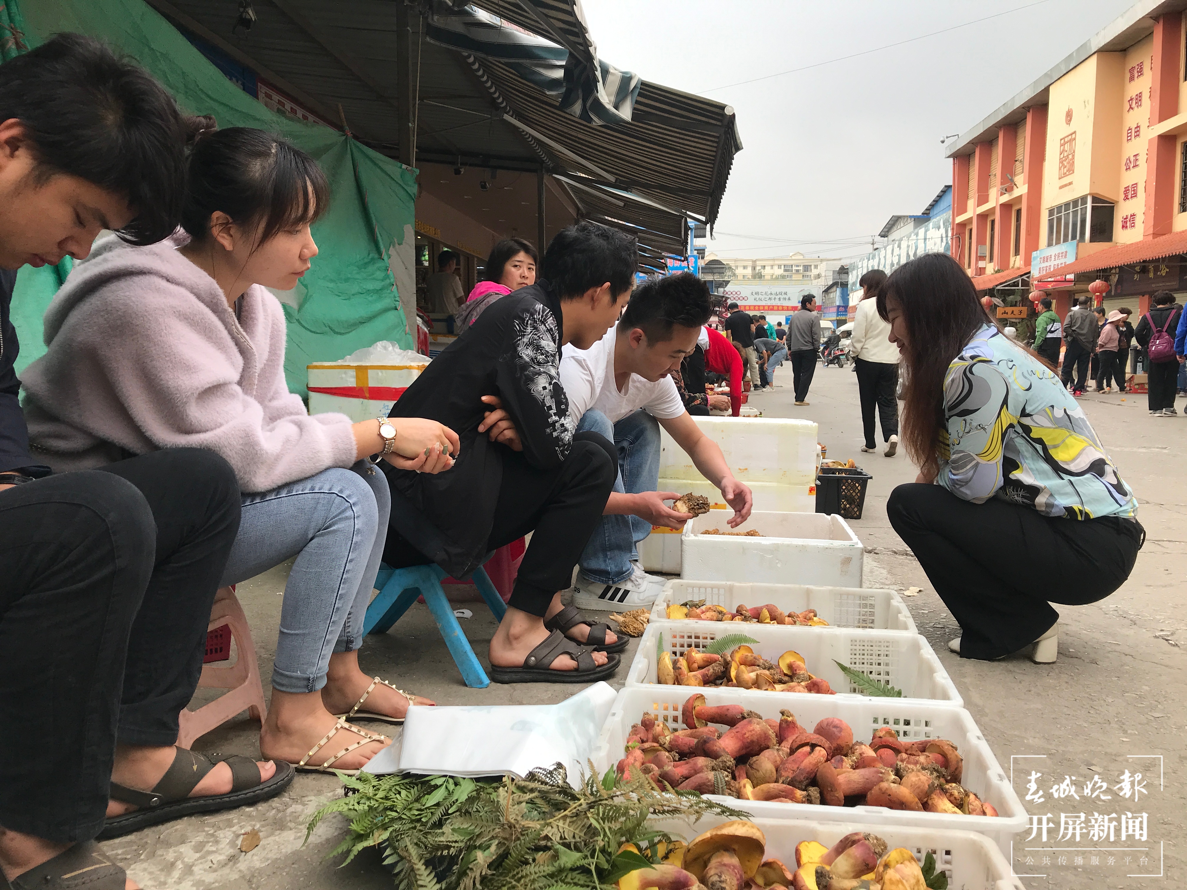 每天约一吨野生菌运到木水花，价格逐渐回落 杨质高 摄 (2).JPG