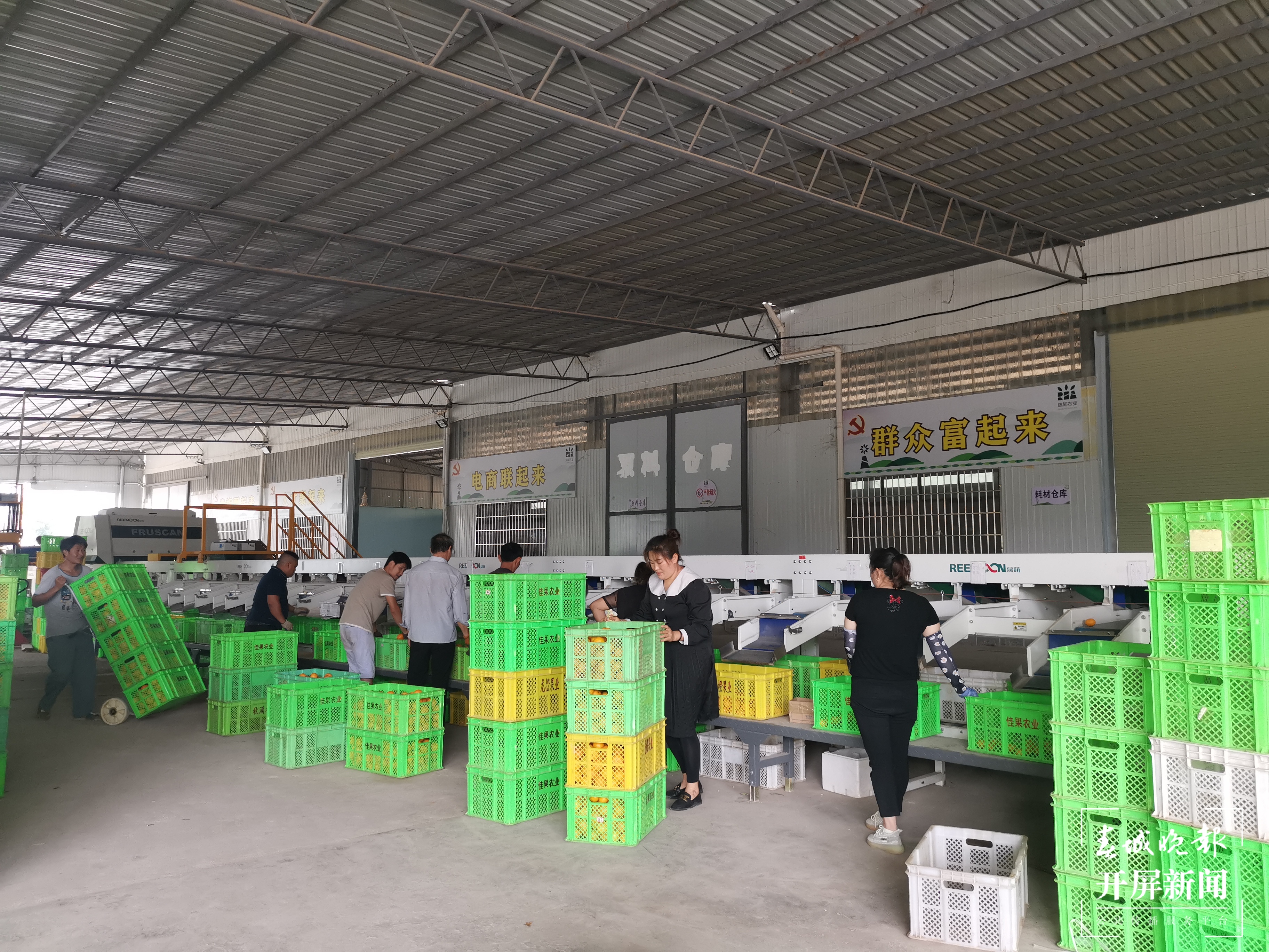 建水佳果农业科技开发有限公司工人在分拣水果 胡梅君摄.jpg