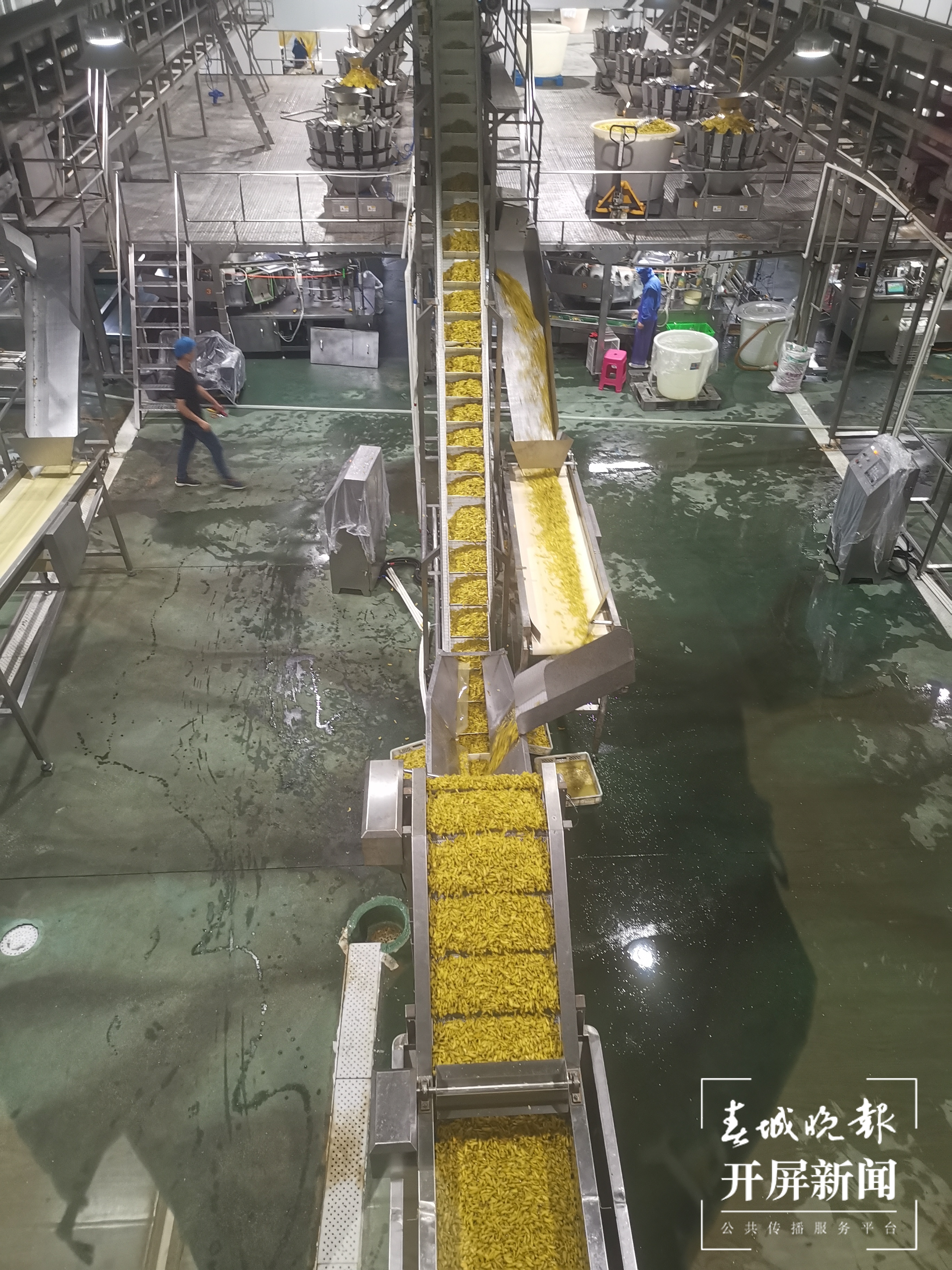 忙碌的生产线 胡梅君 摄.jpg