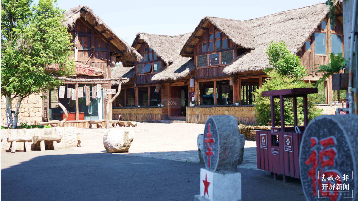 【五一开屏带你游】富源多乐原,月季“千娇百媚”等你来看 春城晚报-开屏新闻记者 蒋琼波 通讯员 山鑫 摄影报道