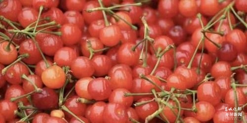 彩绘墙、万亩樱桃、赶乡街子.......富民等你来（春城晚报-开屏新闻记者 张田睿 通讯员 吉旭 姚安林 摄）