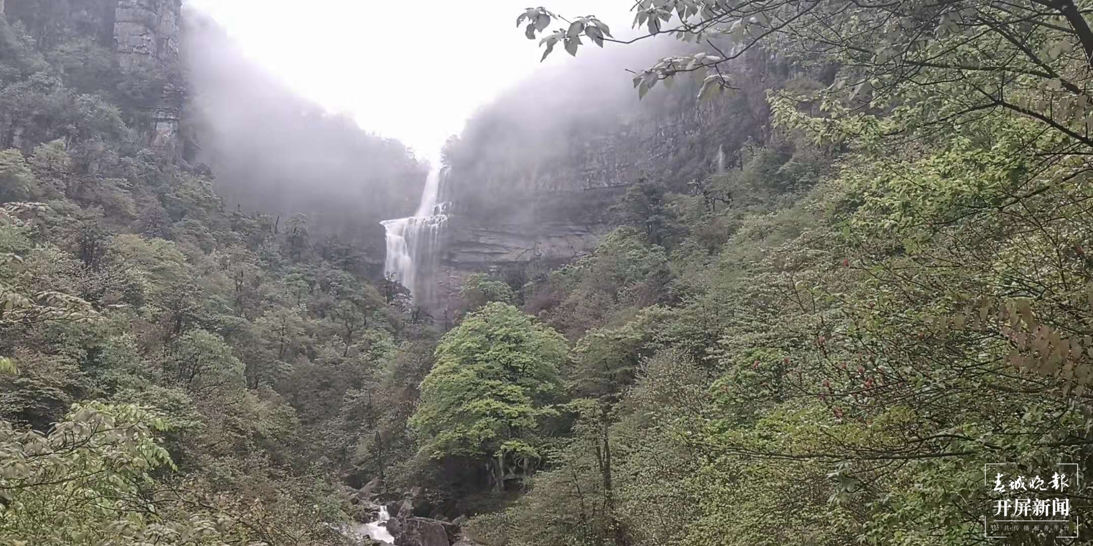 【五一开屏带你游】彝良小草坝