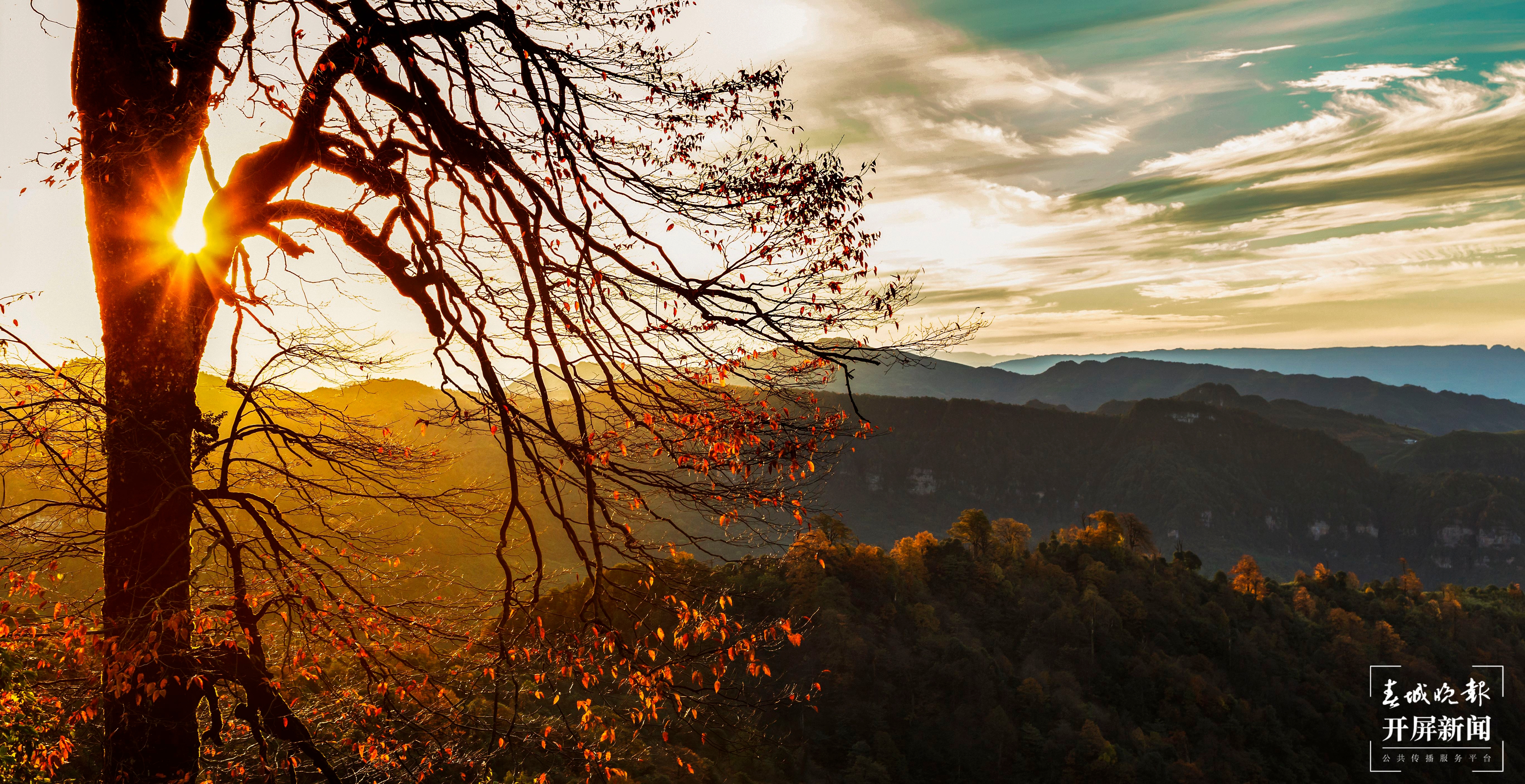 【五一开屏带你游】彝良小草坝