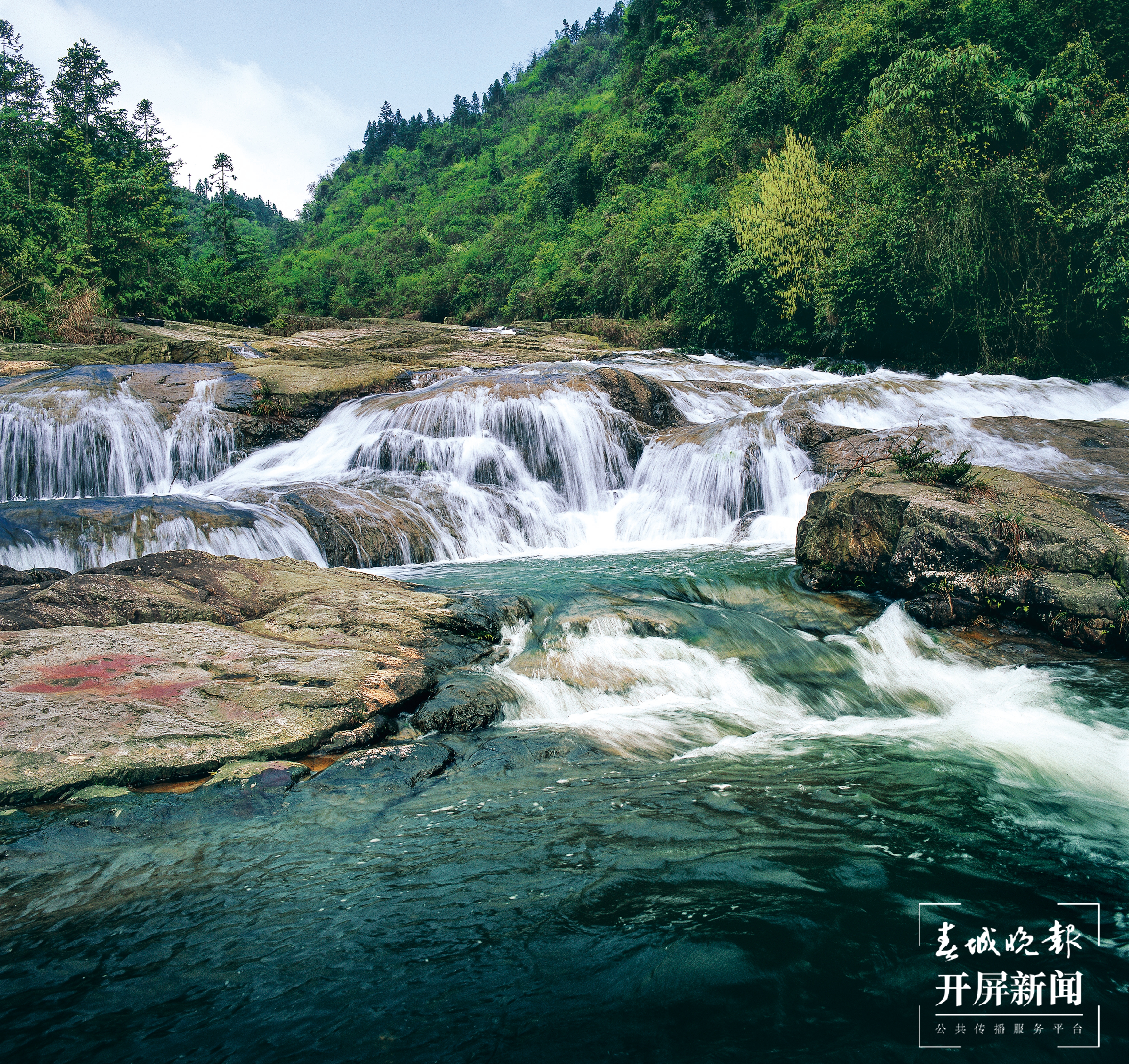 【五一开屏带你游】彝良小草坝
