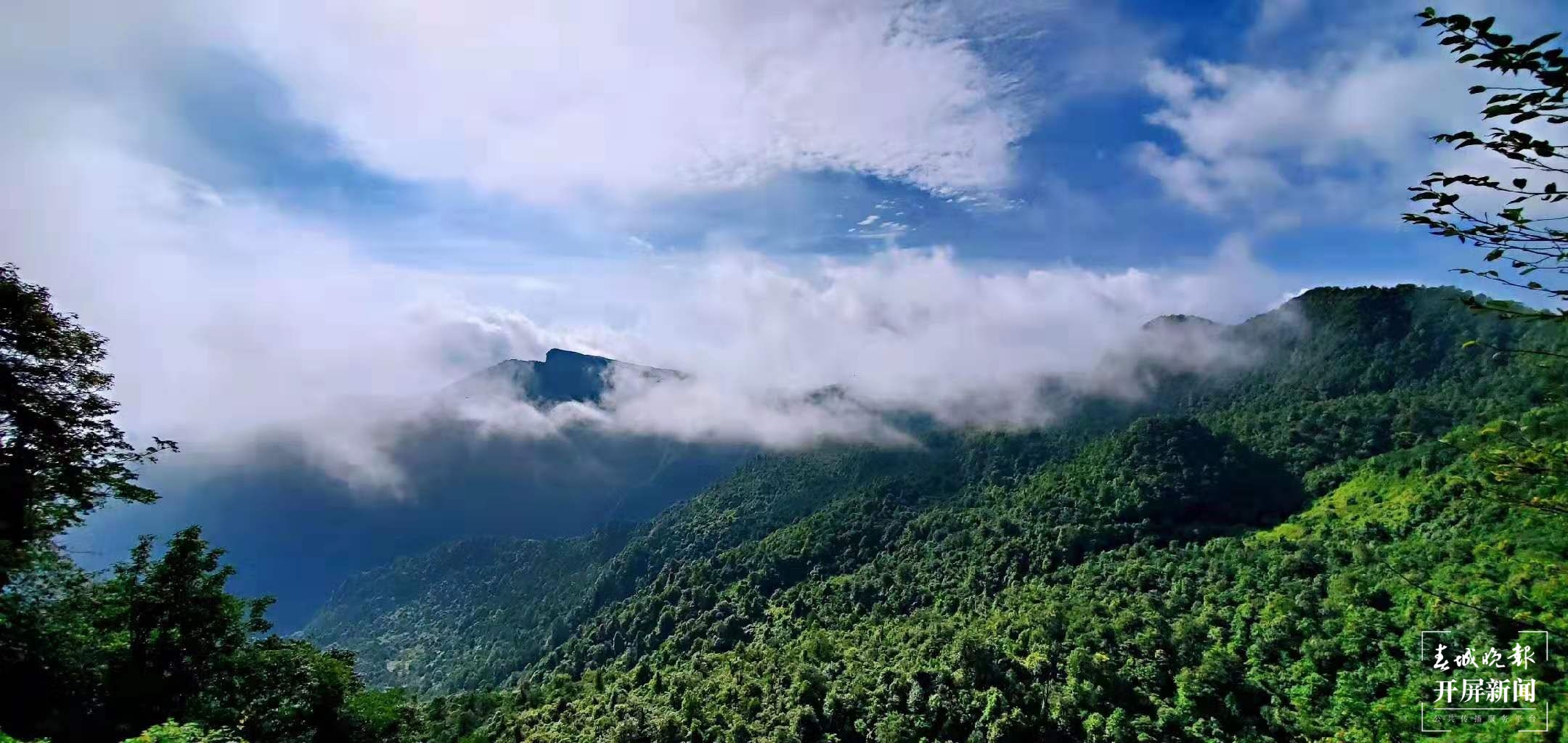 【五一开屏带你游】彝良小草坝