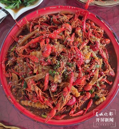 品古树茶、啃手抓鸡，腾冲团田野性之美等你解锁（春城晚报-开屏新闻记者 崔敏 通讯员 杨弘毅 摄）