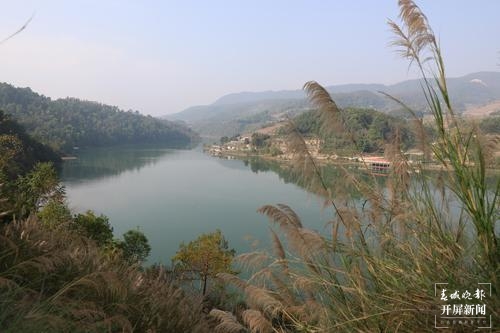 品古树茶、啃手抓鸡，腾冲团田野性之美等你解锁（春城晚报-开屏新闻记者 崔敏 通讯员 杨弘毅 摄）