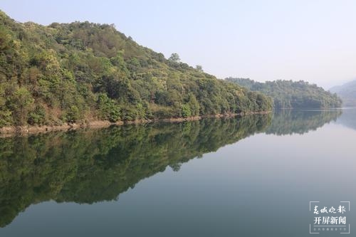 品古树茶、啃手抓鸡，腾冲团田野性之美等你解锁（春城晚报-开屏新闻记者 崔敏 通讯员 杨弘毅 摄）