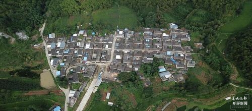 品古树茶、啃手抓鸡，腾冲团田野性之美等你解锁（春城晚报-开屏新闻记者 崔敏 通讯员 杨弘毅 摄）