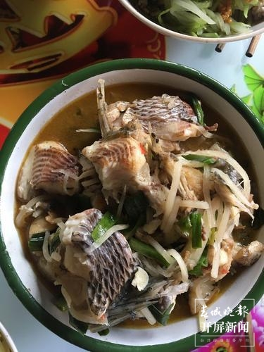 品古树茶、啃手抓鸡，腾冲团田野性之美等你解锁（春城晚报-开屏新闻记者 崔敏 通讯员 杨弘毅 摄）