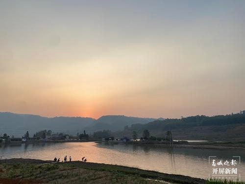 品古树茶、啃手抓鸡，腾冲团田野性之美等你解锁（春城晚报-开屏新闻记者 崔敏 通讯员 杨弘毅 摄）