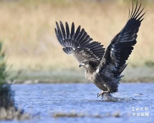 保山的这7个A级景区等你来游（春城晚报-开屏新闻记者 崔敏 通讯员 甘湉 摄）